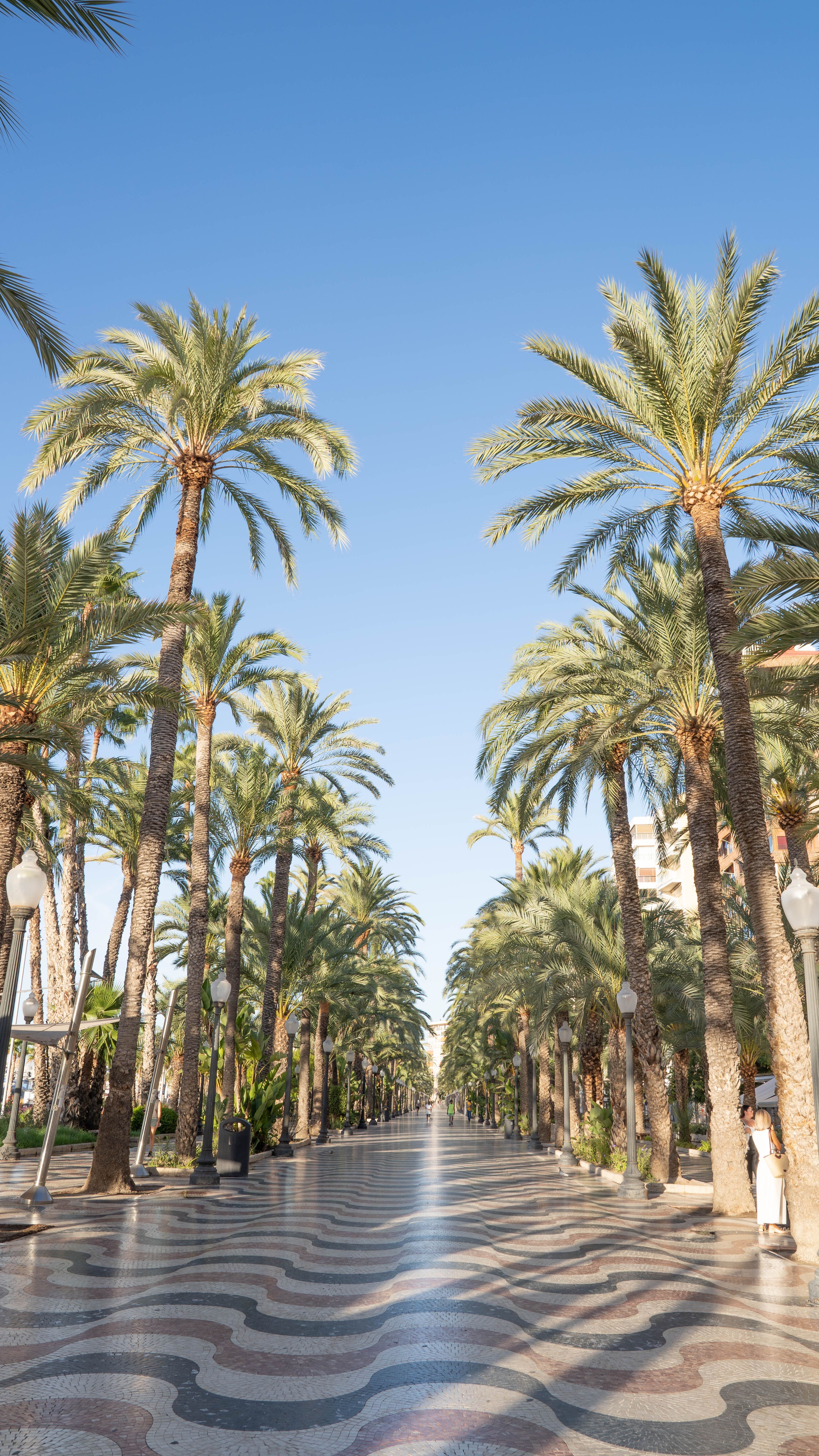 Alicante City Tourist Board