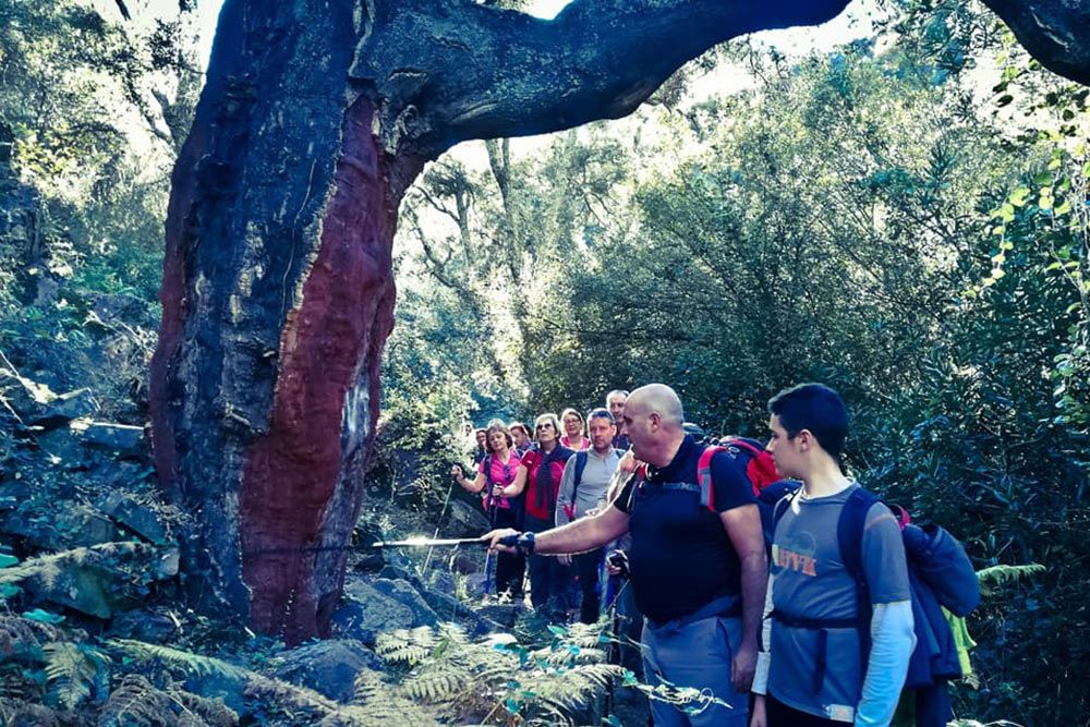 INTRODUCING CASTELLÓN