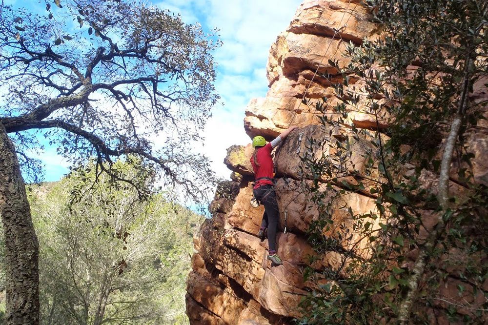 INTRODUCING CASTELLÓN