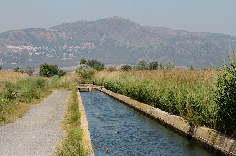 Provincial Council of Valencia